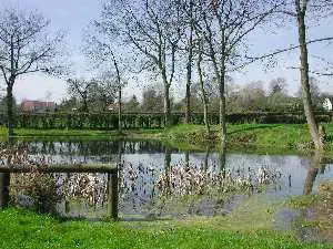 Installateur Spa Normandie Installateur spa et jacuzzi Bourg-Beaudouin